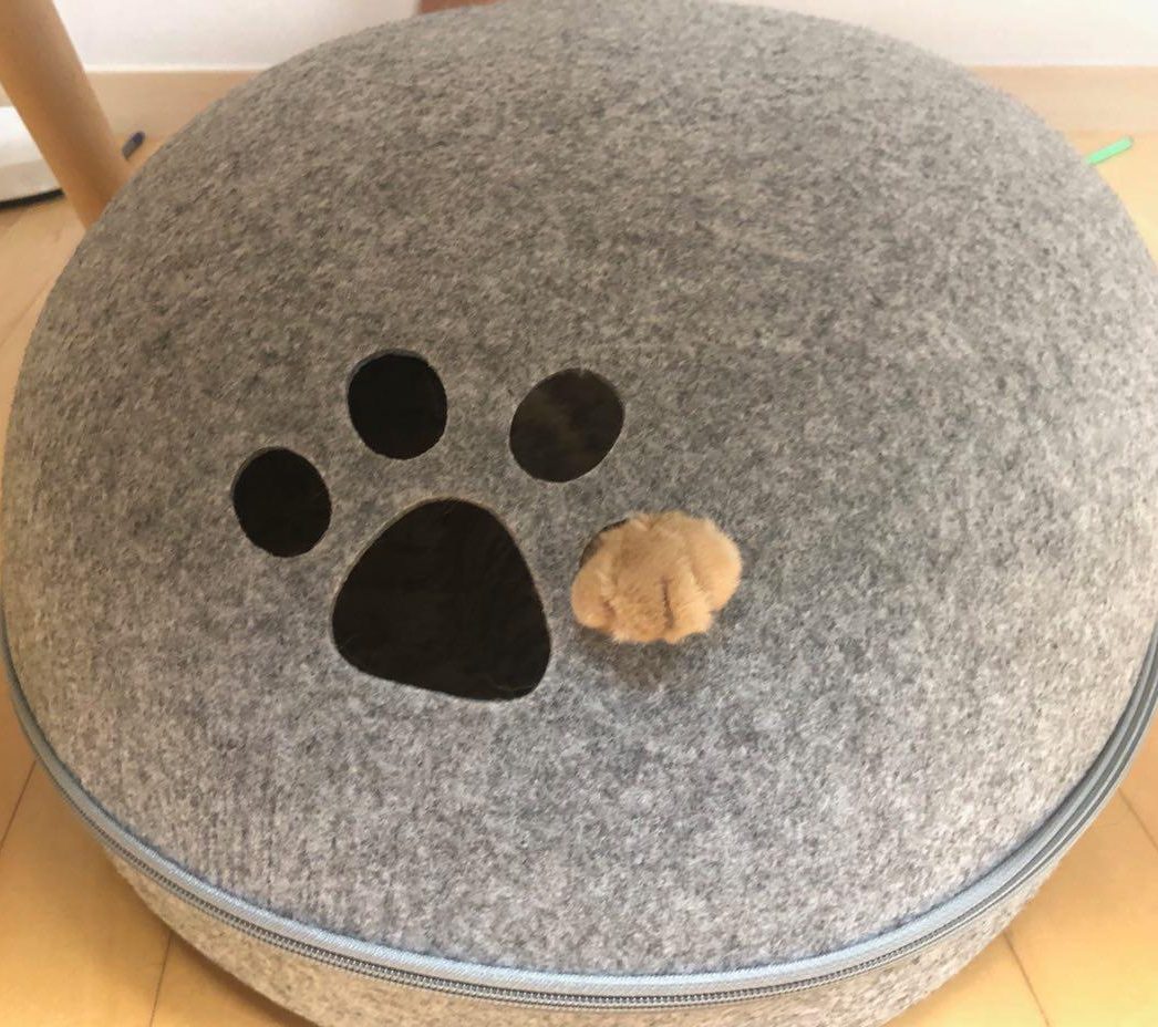 노법래 교수의 수업과 연구 블로그